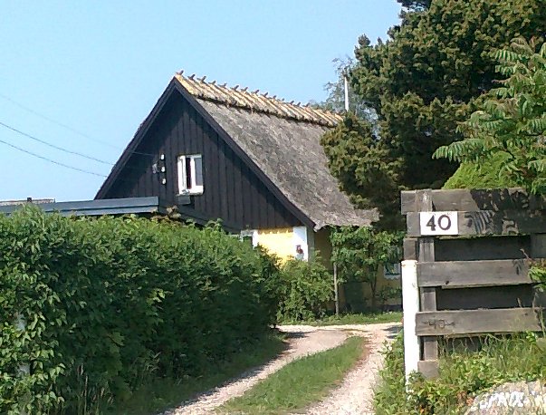Rveholmsvej 40